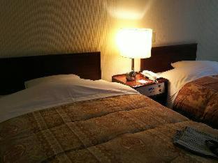 Hakodate Park Hotel Oda fotoğraf